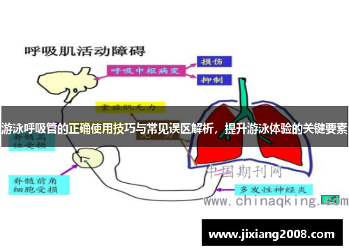 游泳呼吸管的正确使用技巧与常见误区解析，提升游泳体验的关键要素